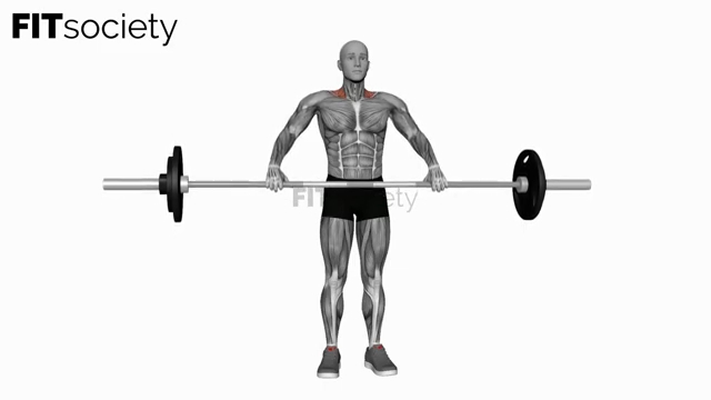 Barbell Wide Shrug