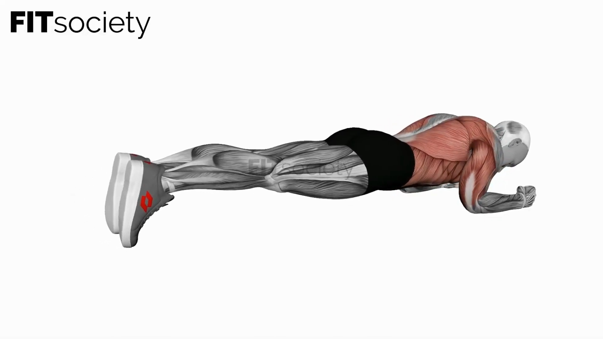 Body Saw Plank