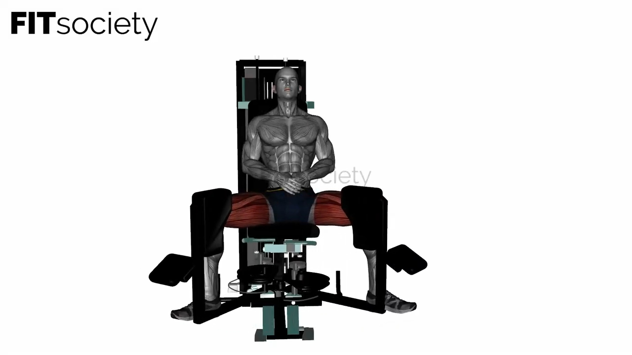 Seated Machine Hip Adductor
