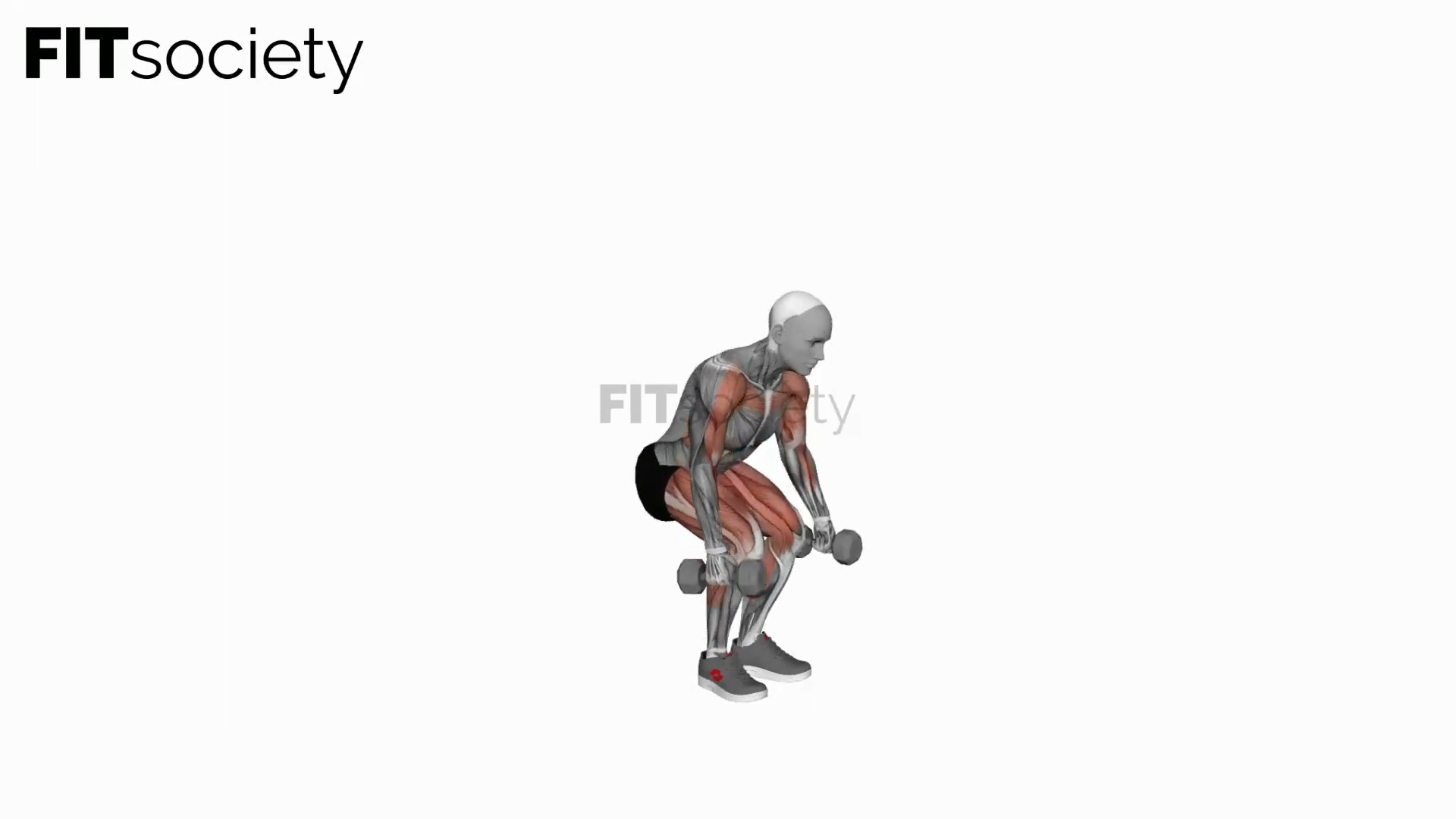 Hang Power Clean mit Kurzhanteln