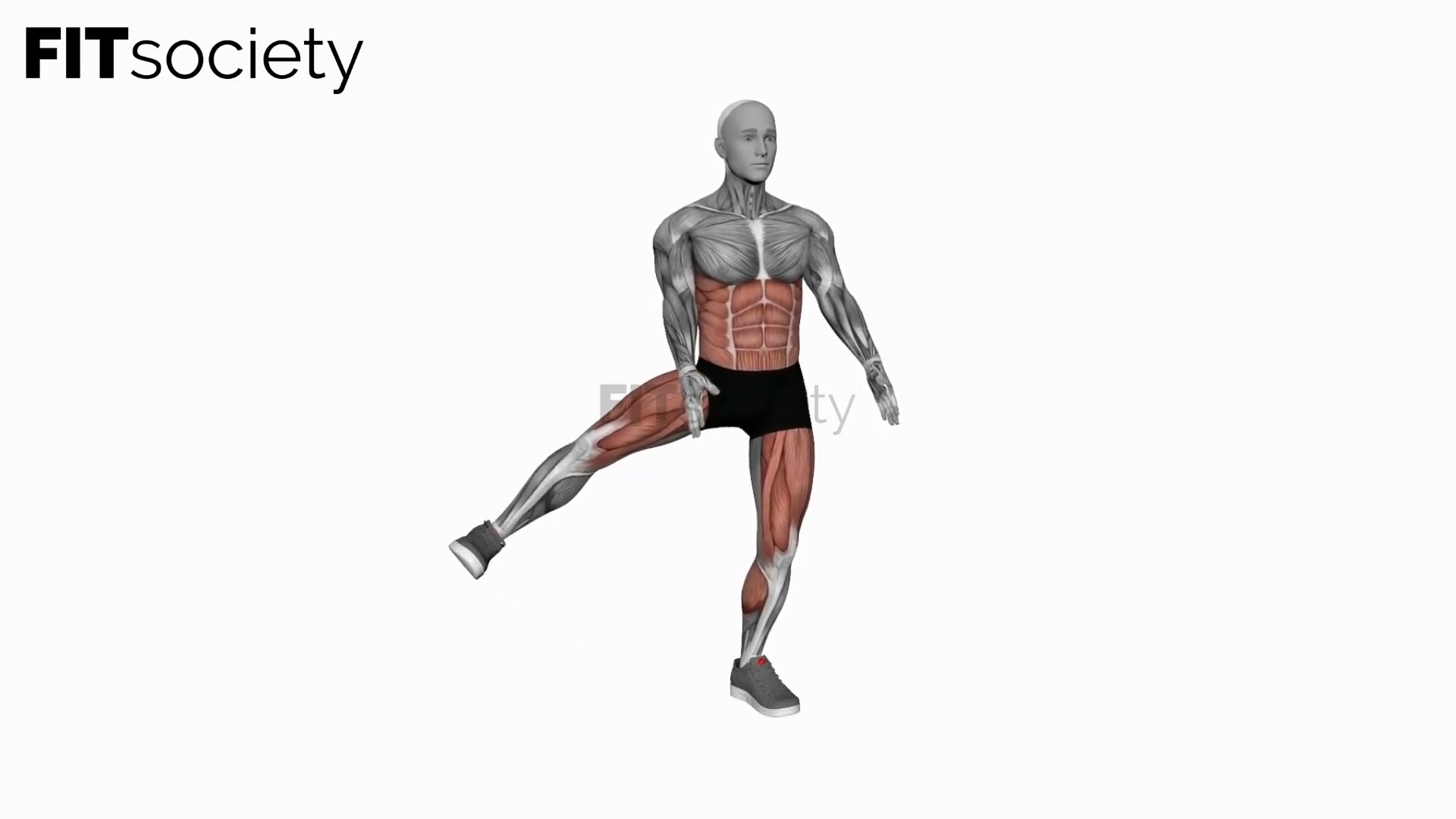 Bodyweight Squat to Side Leg Lift