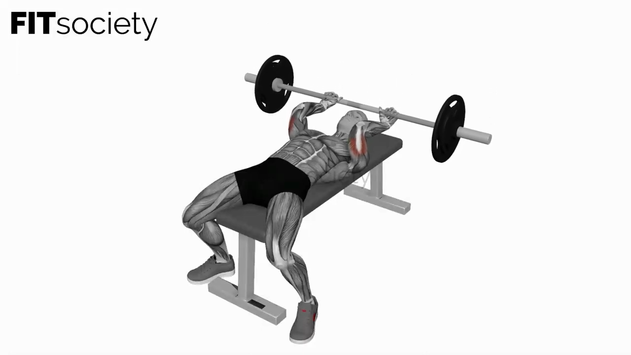 Barbell Lying Triceps Skull Crushers