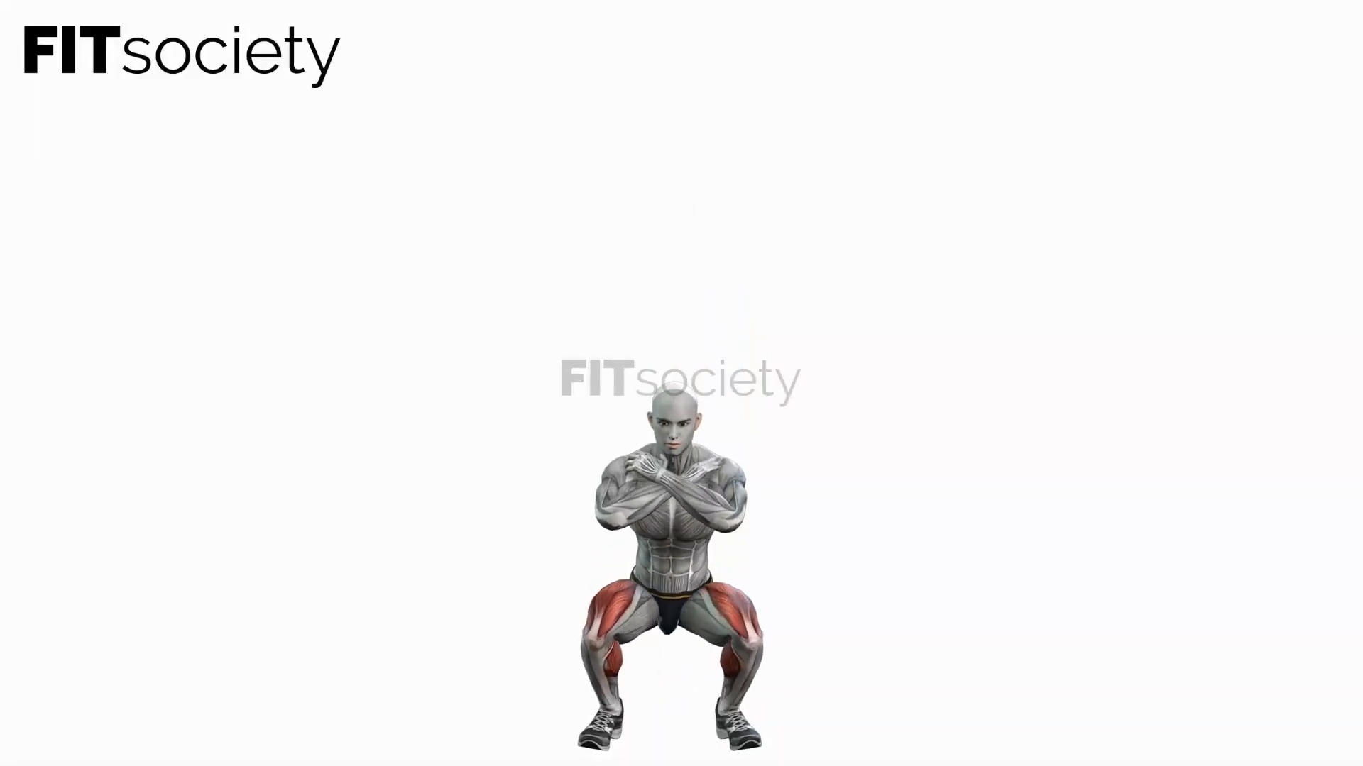 Bodyweight Squats Hold