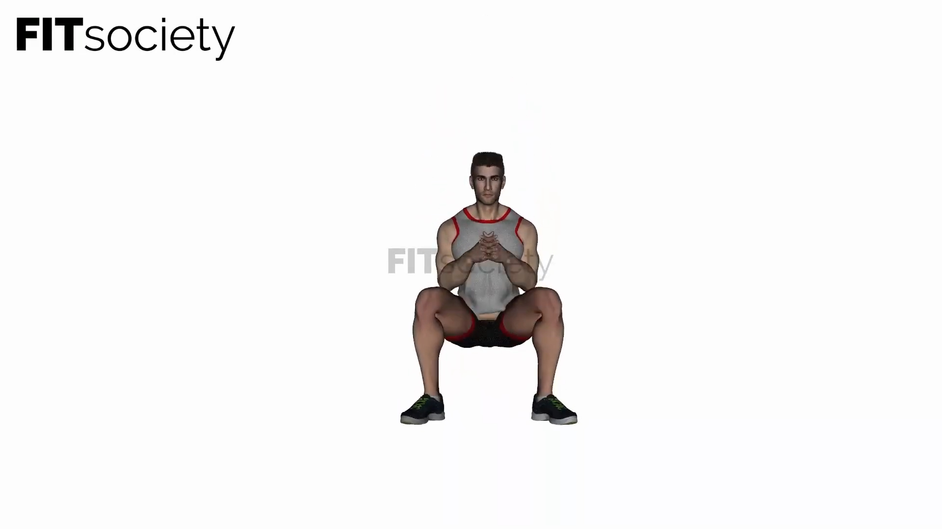 Bodyweight Sumo Squat