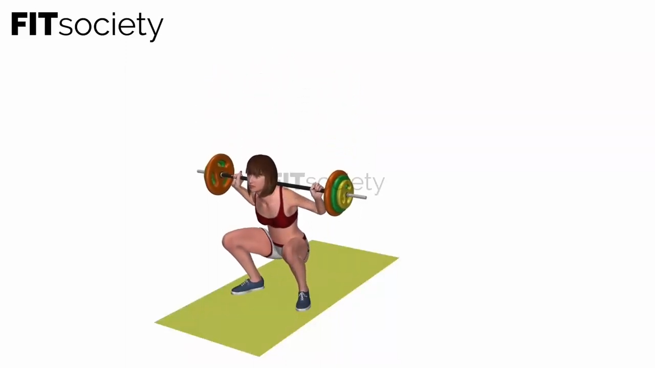 Barbell Squa