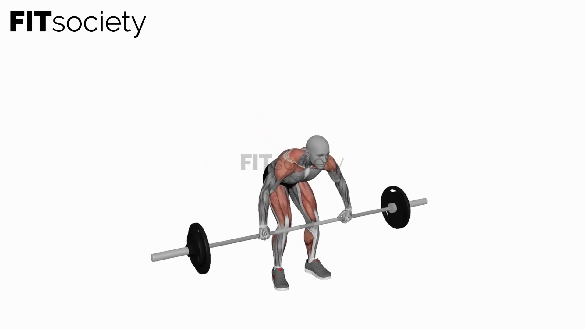 Barbell Clean and Press