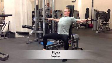 Bayesian Fly