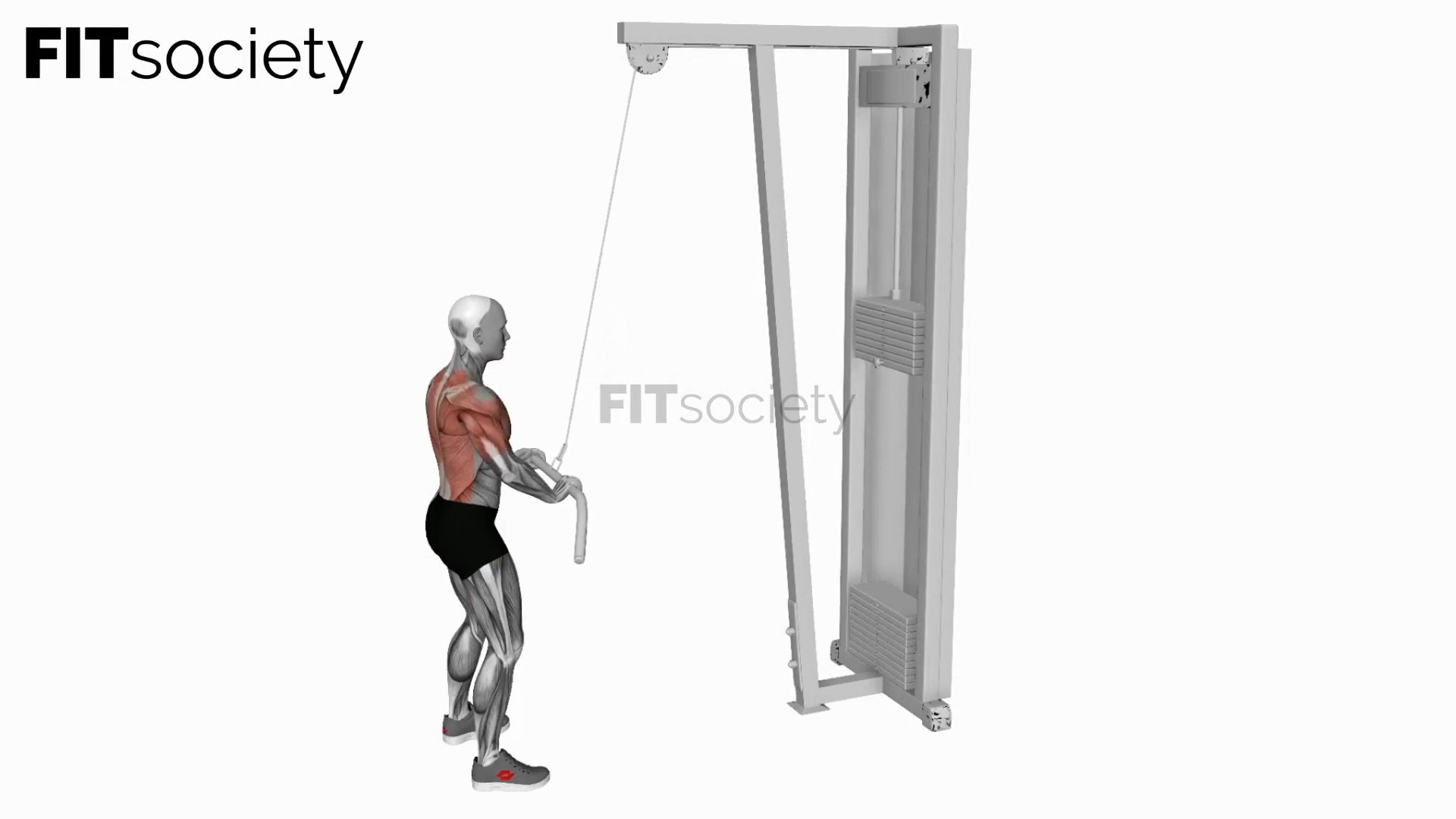 Cable Pushdown (Straight Arm)