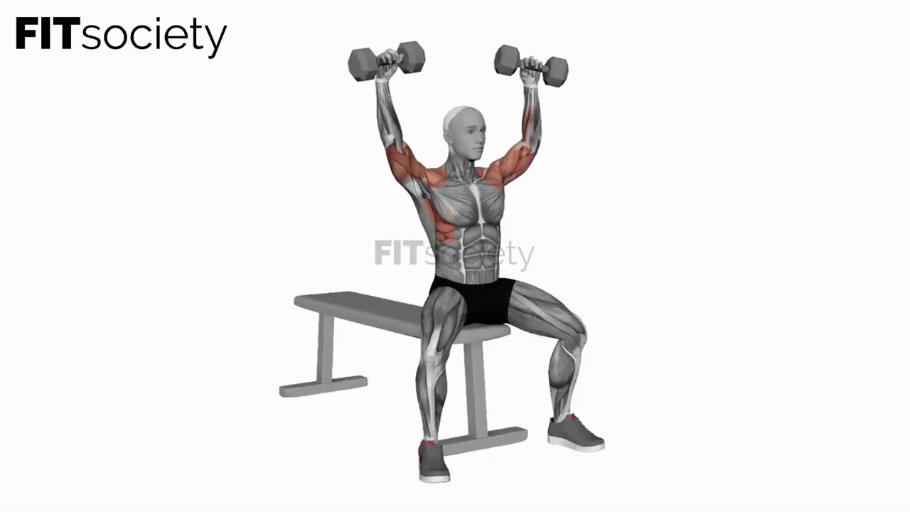 Dumbbell Arnold Press (Version 2)