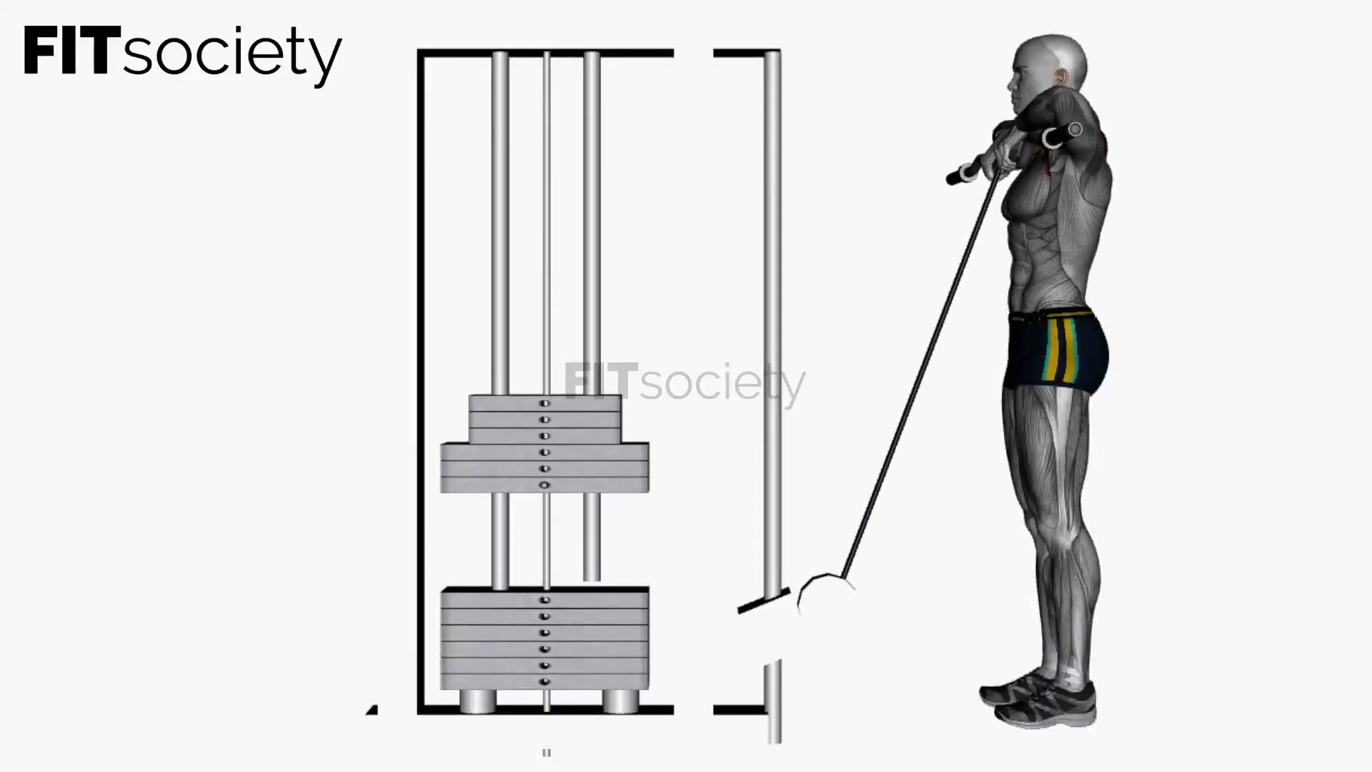 Cable Upright Row With Ez Bar
