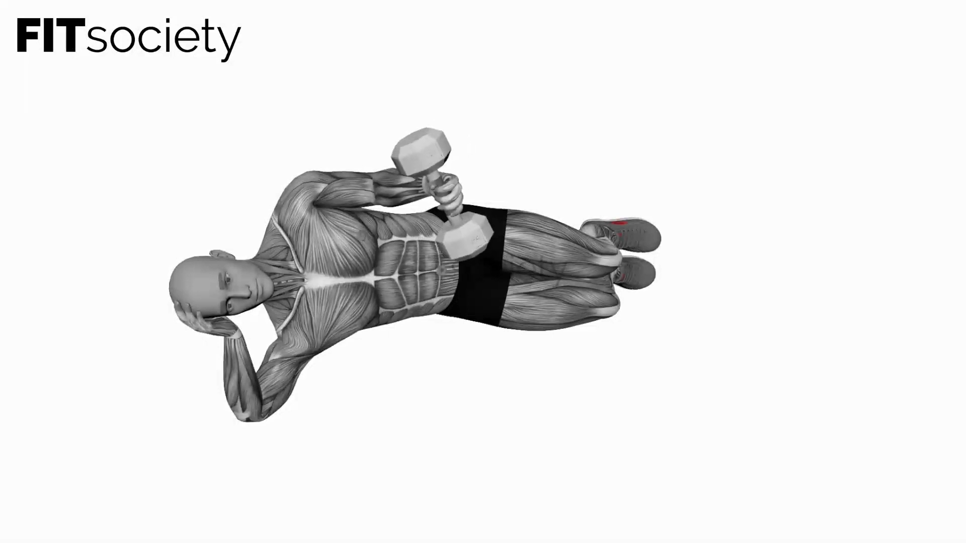 Dumbbell Lying Pronation Rotation on Floor