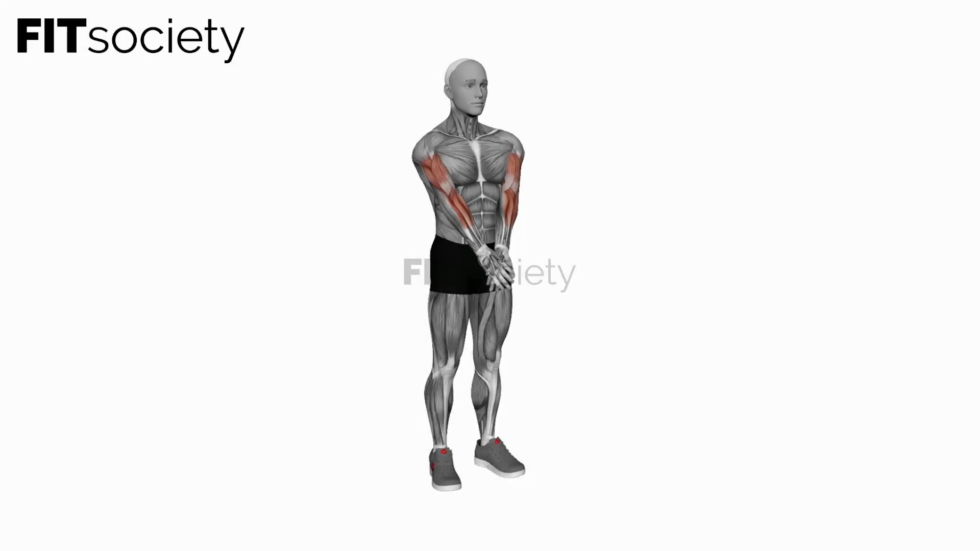 Elbow Extension and Supination-Pronation Forearm Stretch