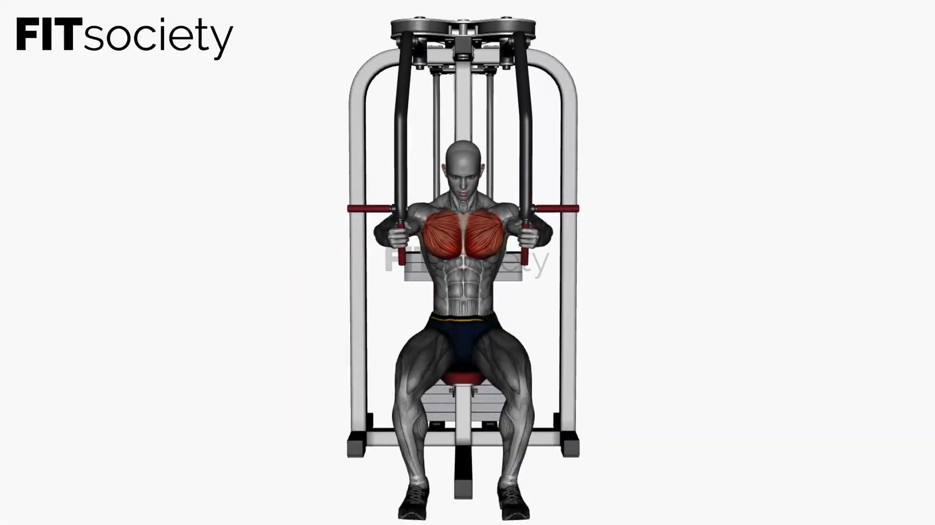 Machine Fly