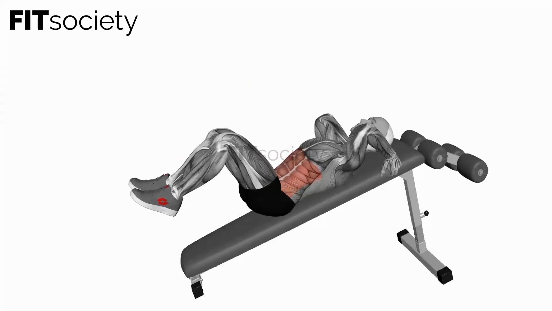 Decline Bent-Leg Reverse Crunch