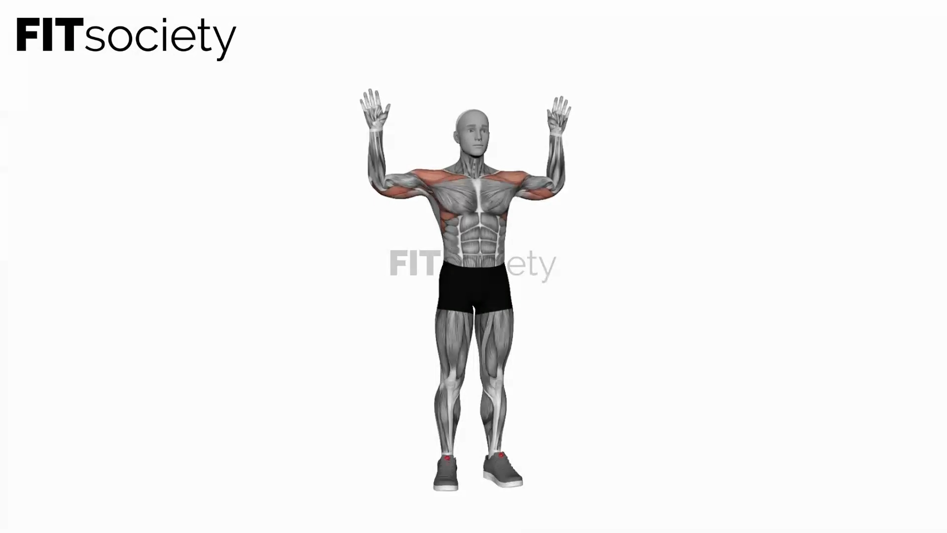 Bodyweight Standing Military Press