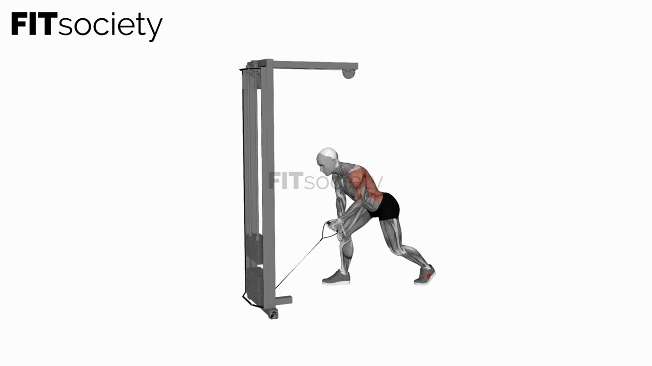 Cable One Arm Bent Over Row