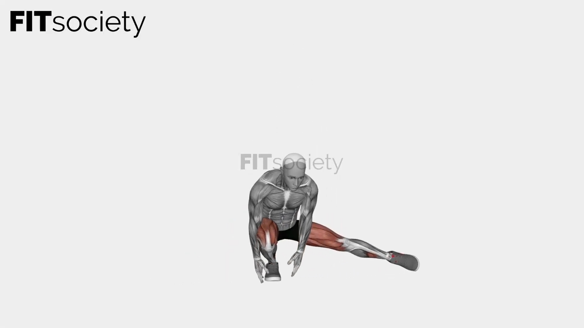 Alternate Heel Touch Side Kick Squat
