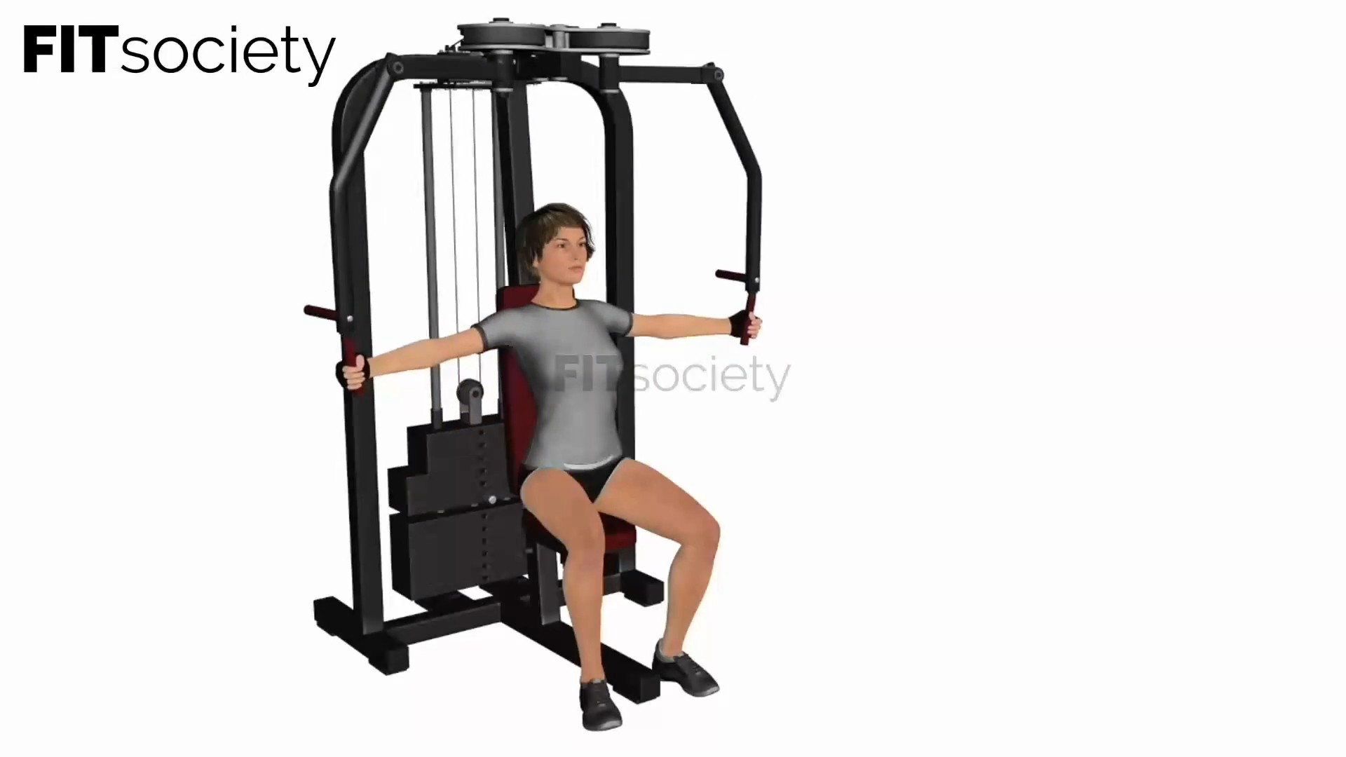 Chest Fly Machine - Woman Example