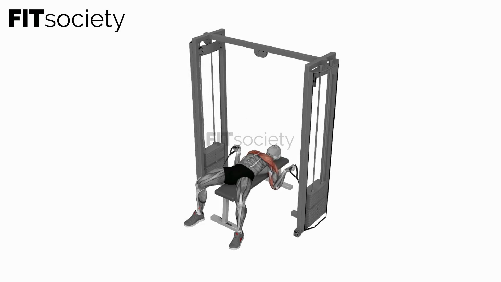 Cable Bench Fly Press