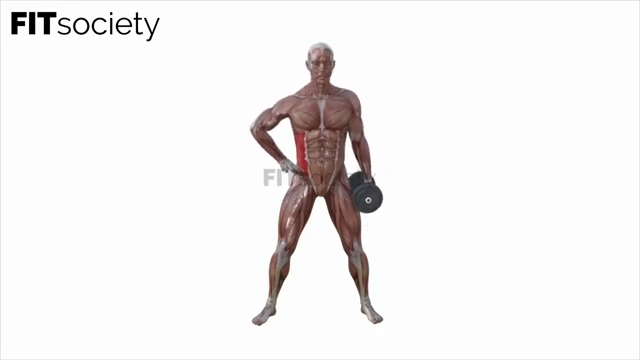 Dumbbell Side Bends