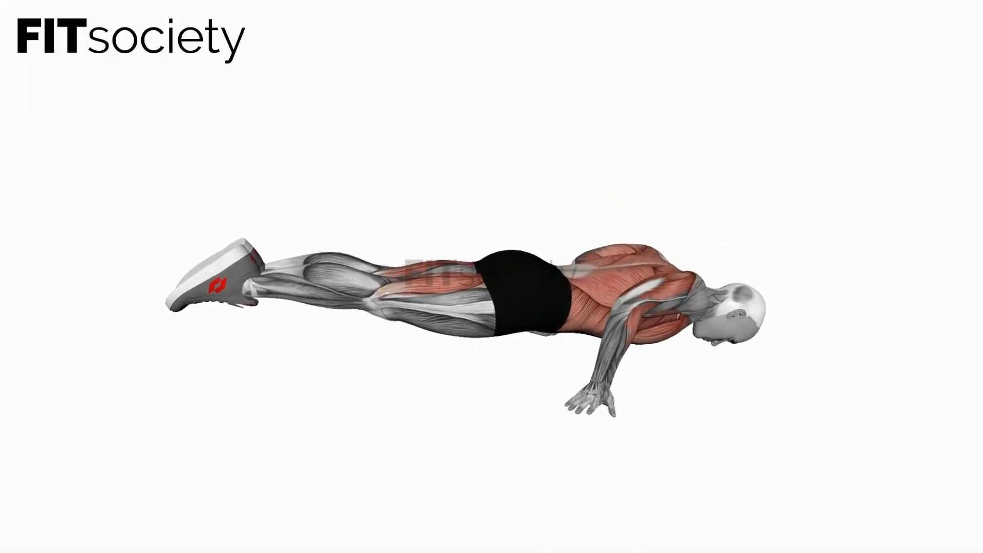 Full Planche Push-Up