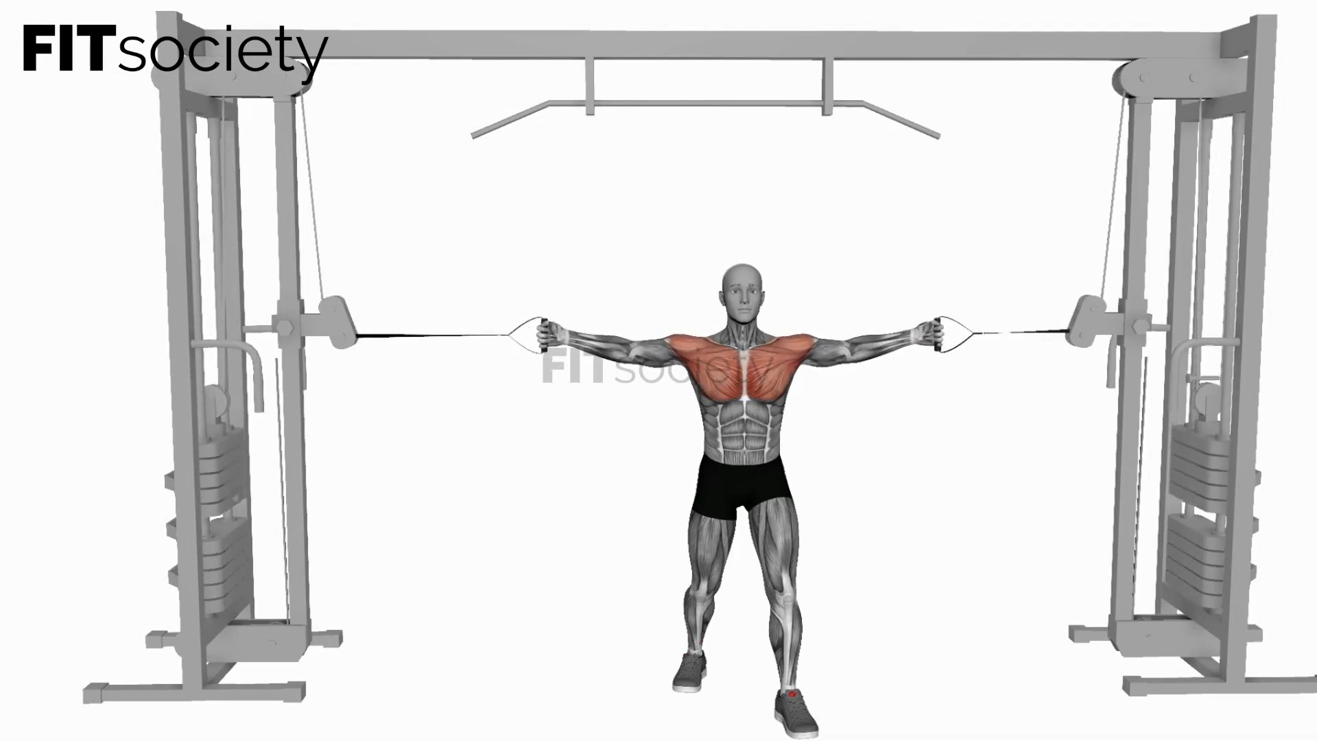 Cable Middle Fly