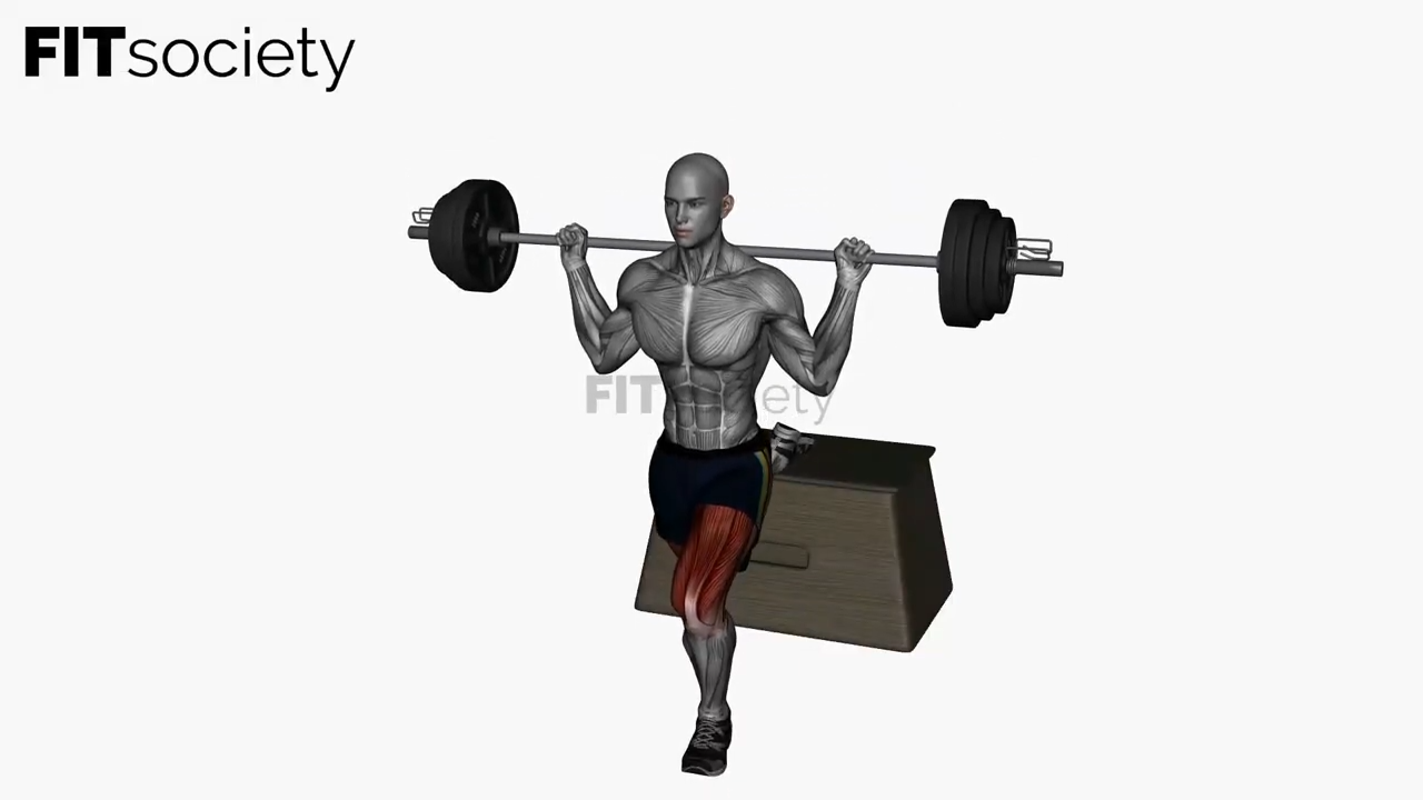 Squat bulgare avec barre, vue avant gauche et arrière
