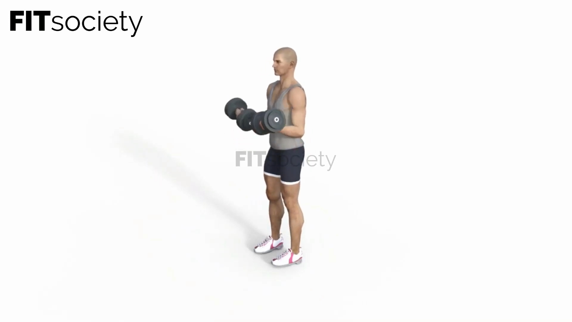 Dumbbell Side Bends V2