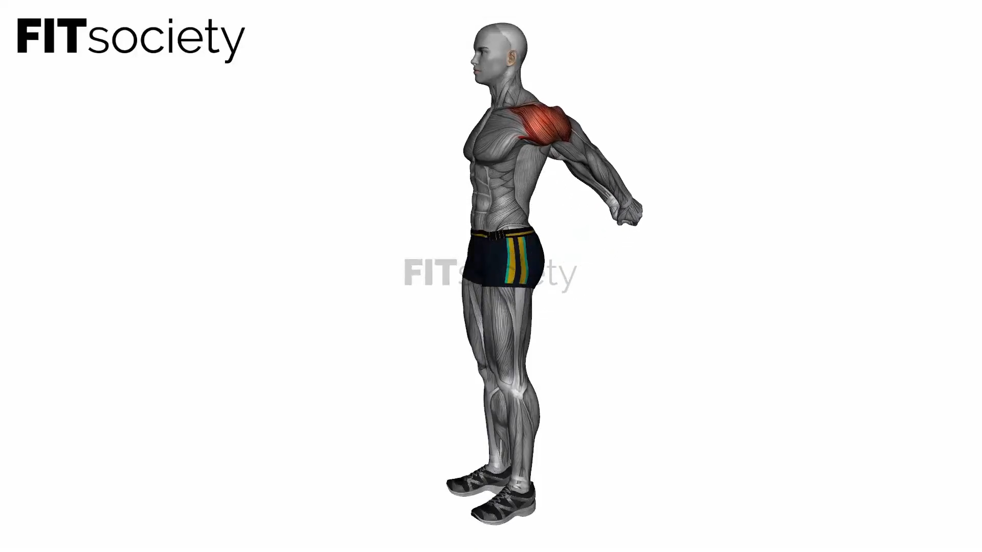 Standing Reverse Shoulder Stretch