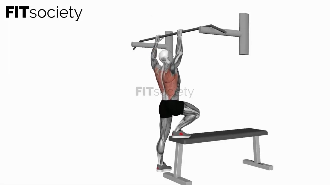 Bench Pull-Ups