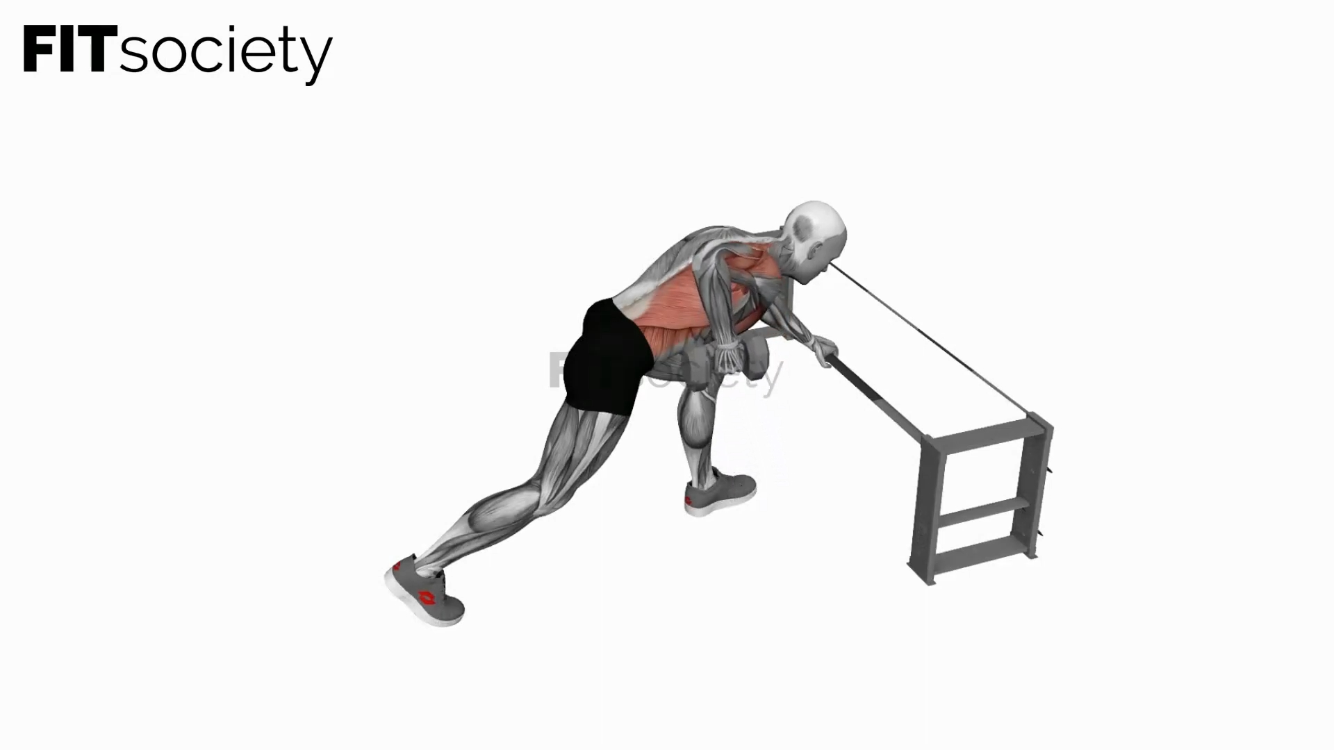 Dumbbell One-Arm Row (Rack Support)