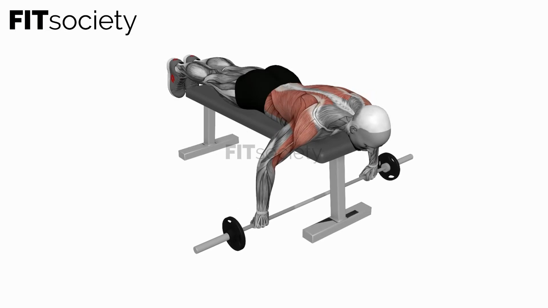 Cambered Bar Lying Row
