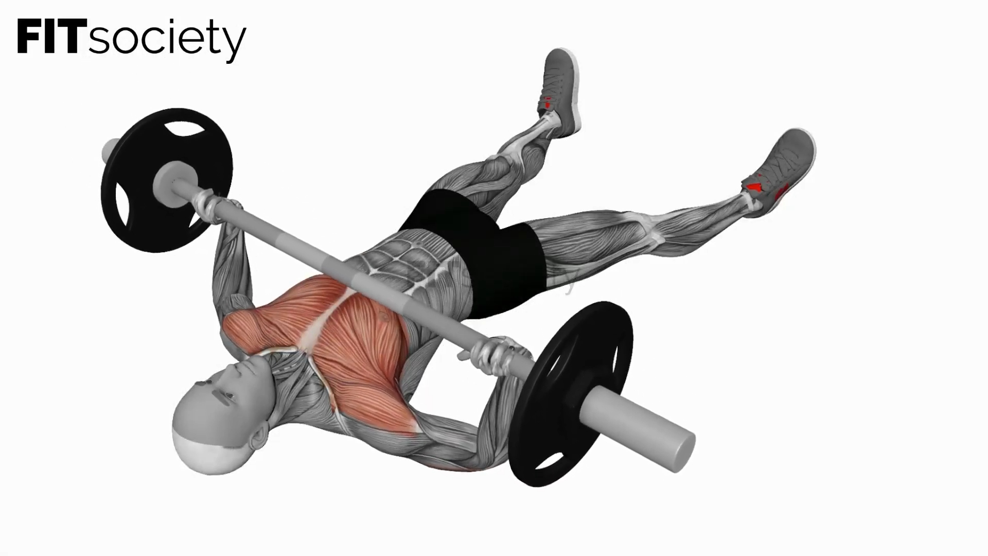 Barbell Floor Chest Press
