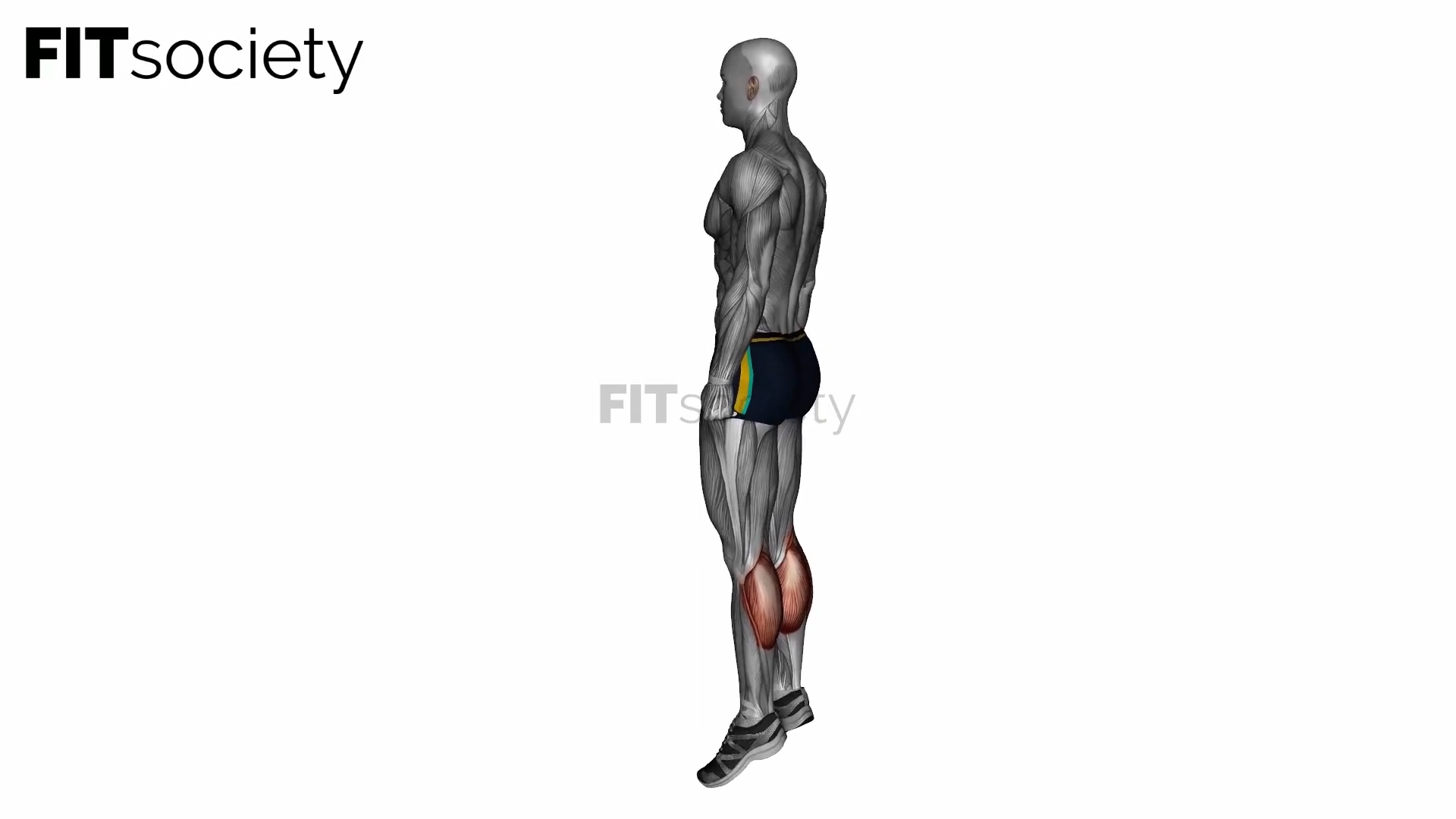 Bodyweight Calf Raises