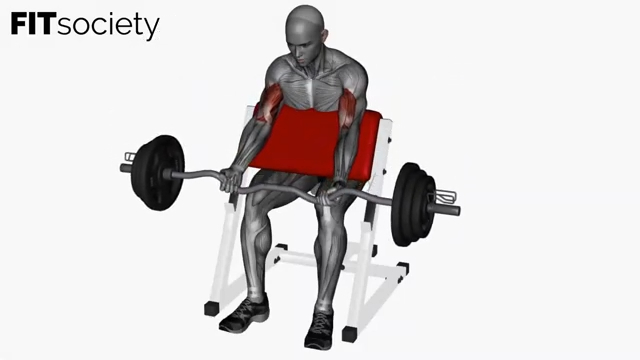 Preacher Curl Ez Bar Wide Grip