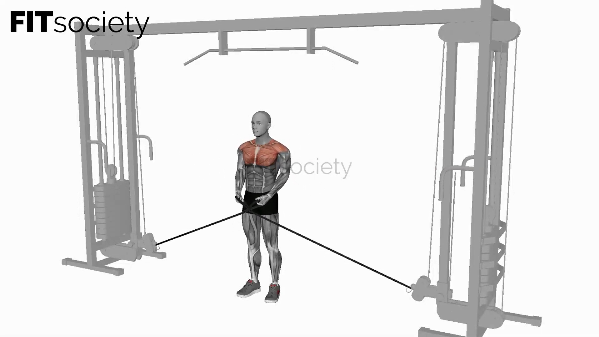 Cable Lateral Raise