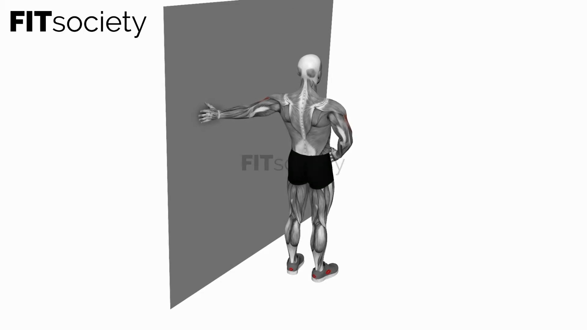 Elbow Flexor Stretch