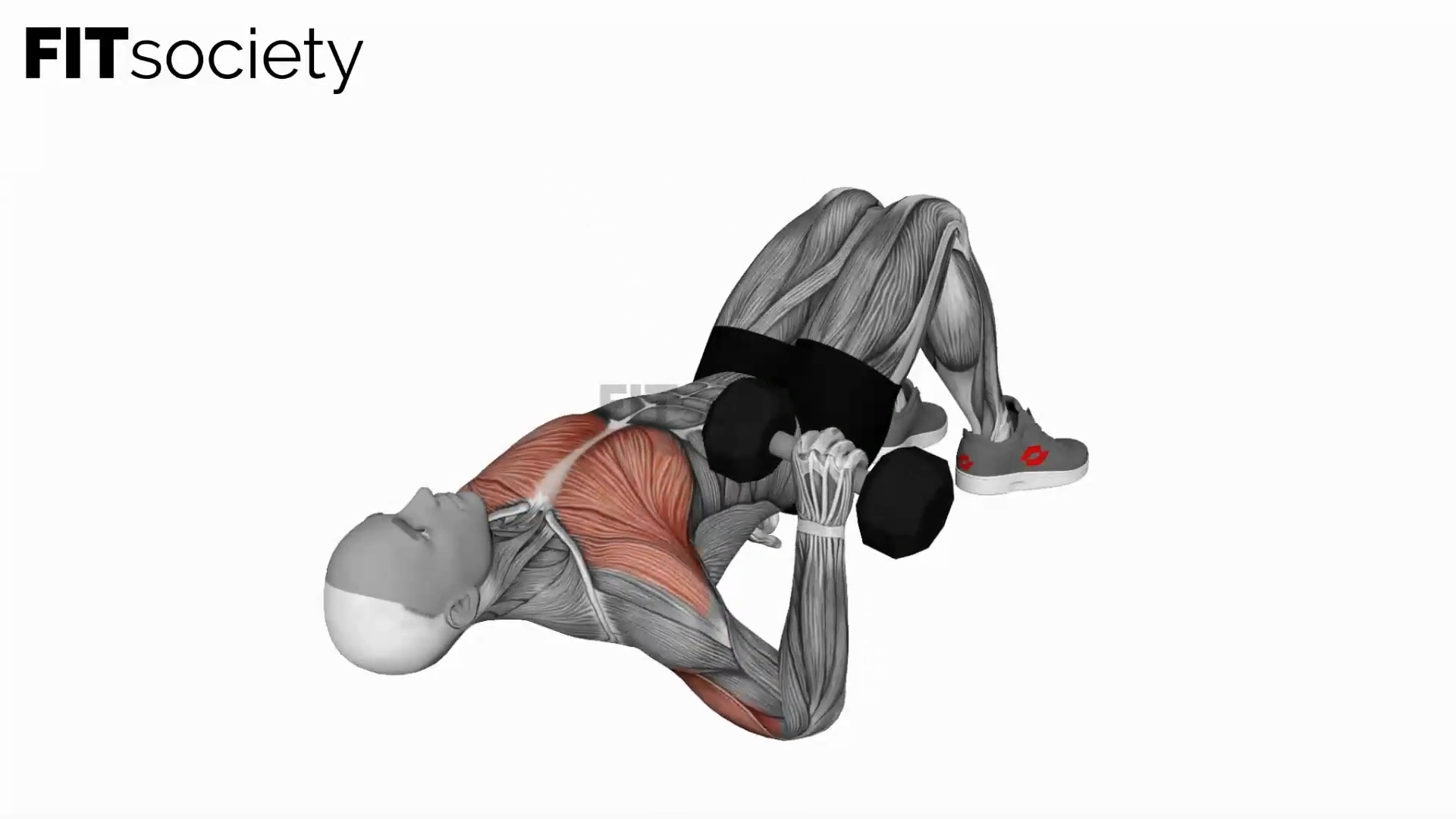 Dumbbell Single Arm Floor Press