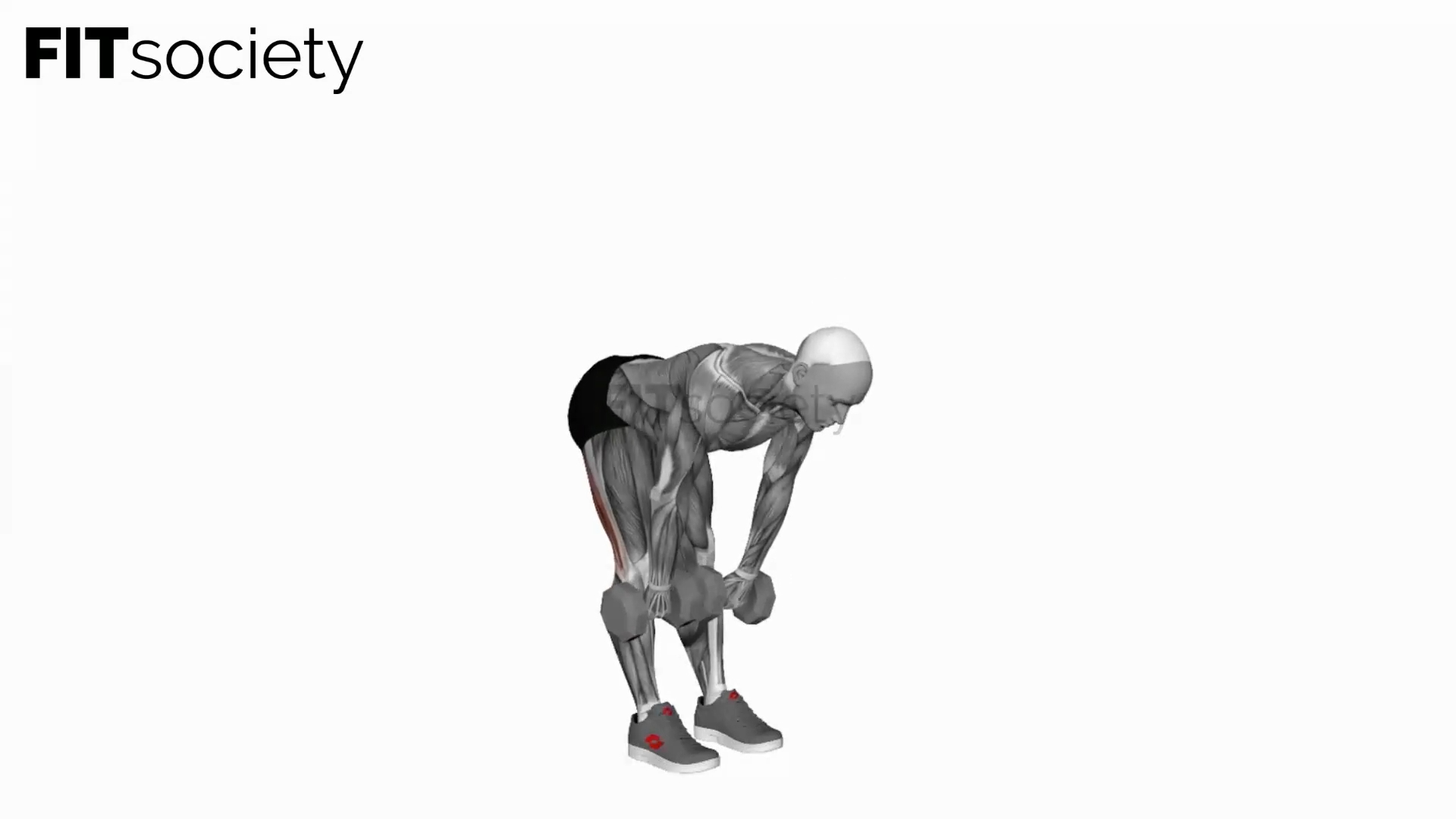 Dumbbell Straight Leg Deadlift