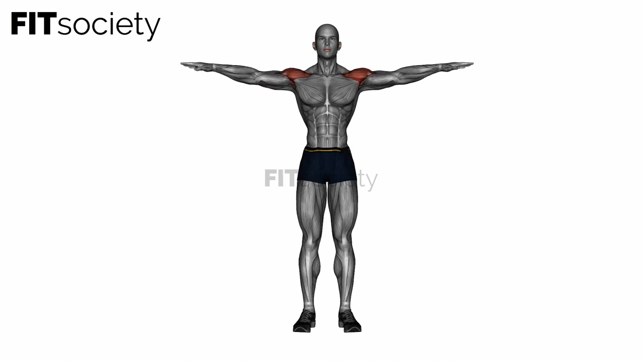 Lateral Raise Bodyweight