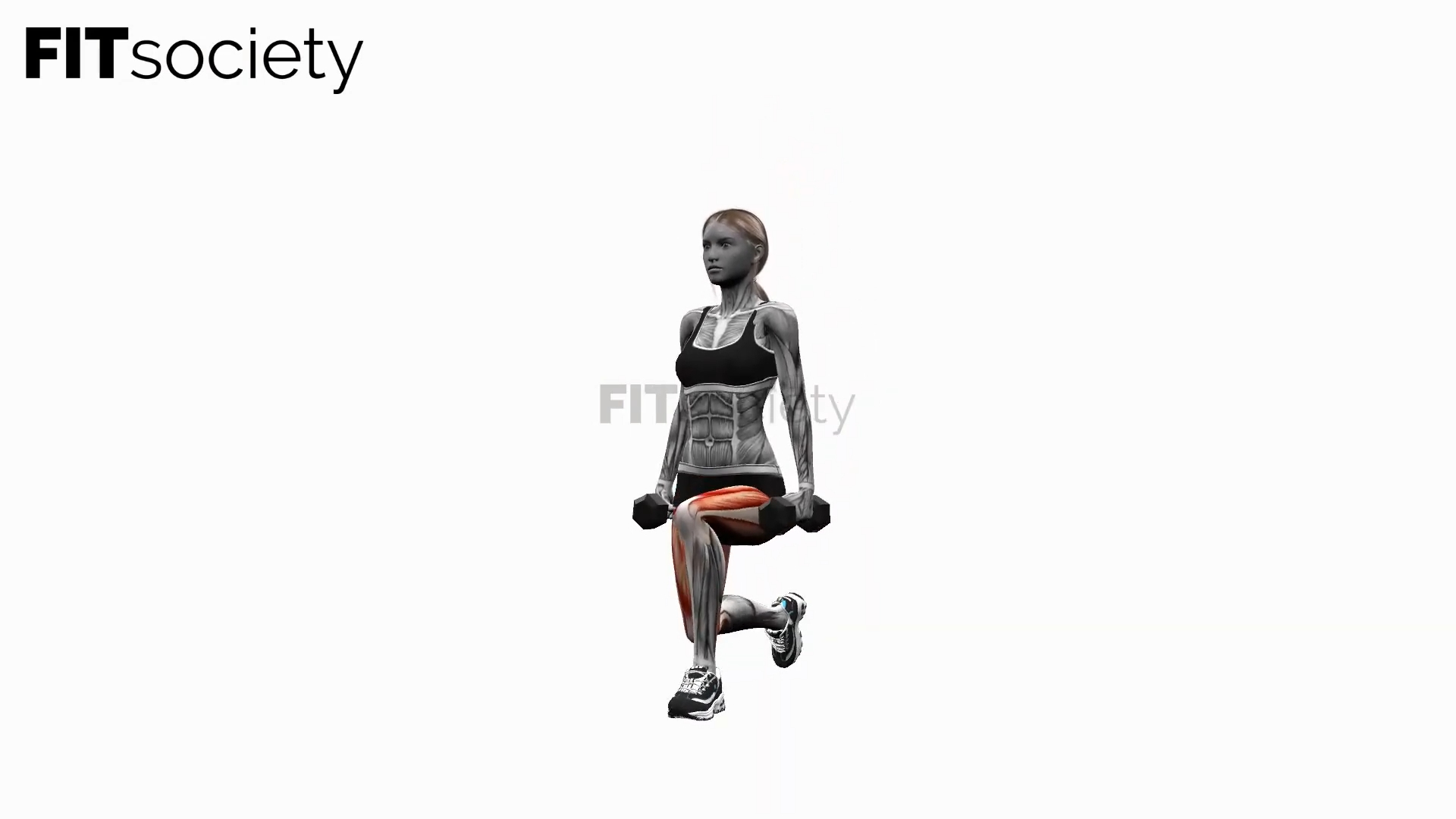 Dumbbell Lunge Pulse
