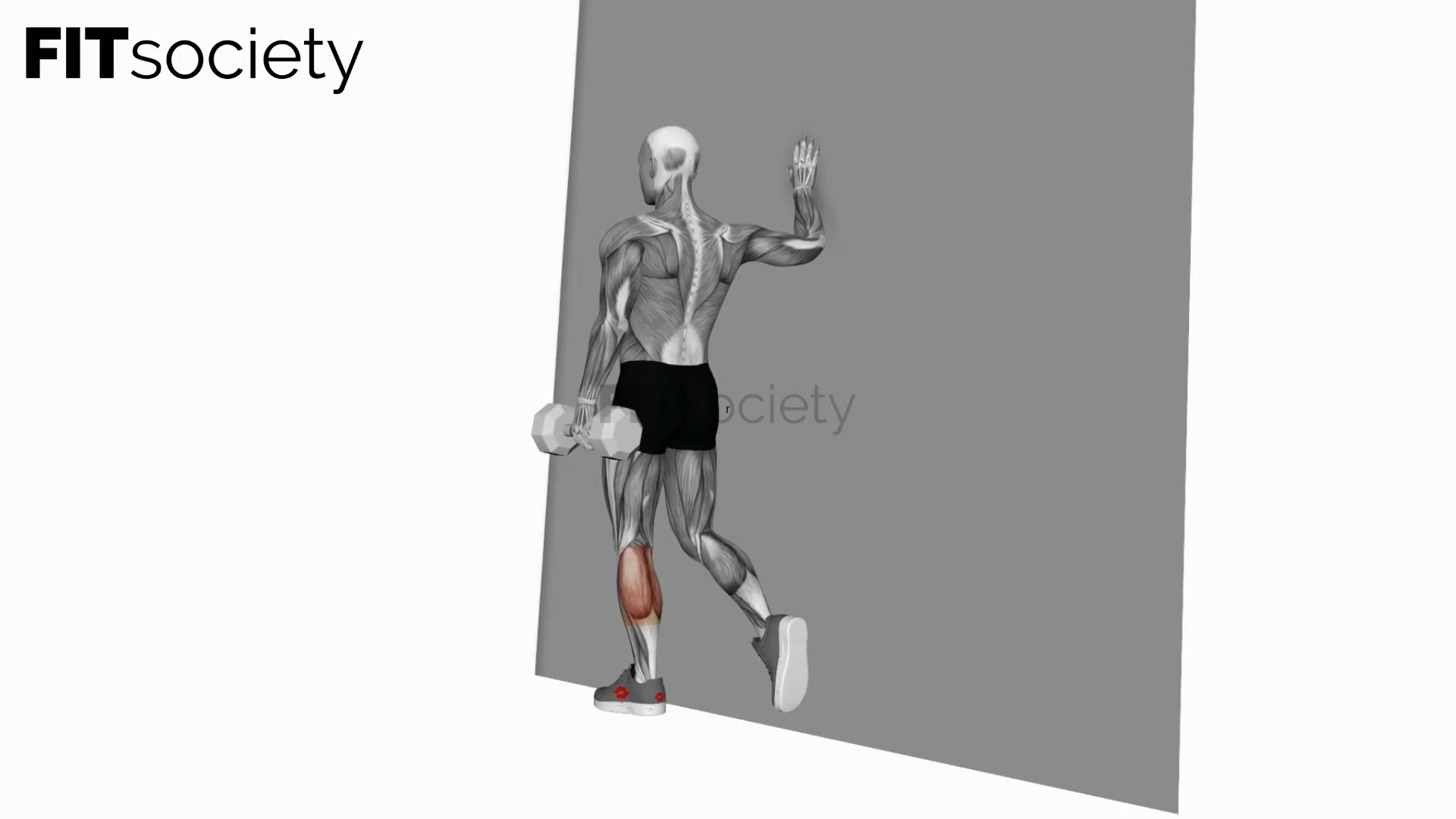 Dumbbell Single Leg Calf Raise Wall Support