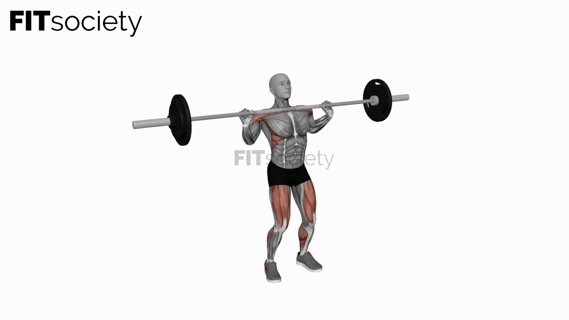 Power jerk avec barre