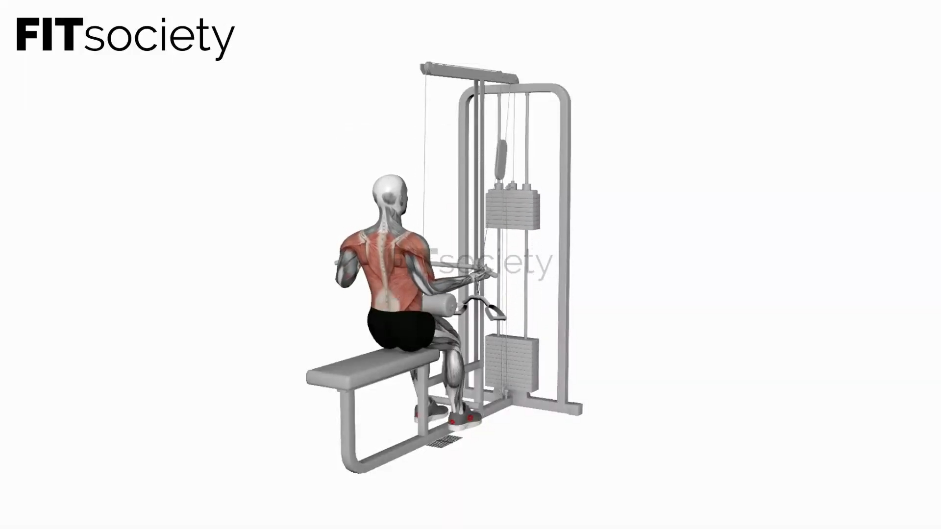 Cable Underhand Pulldown