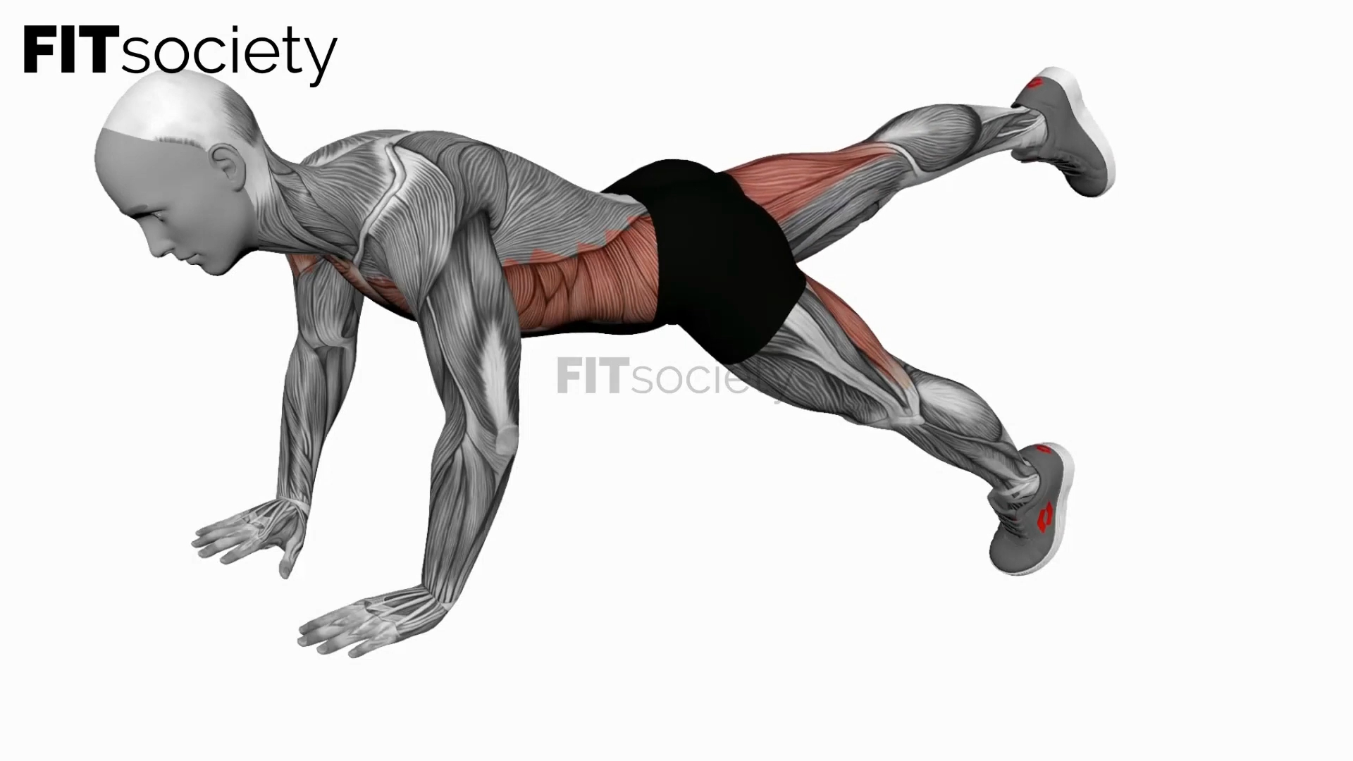 Alternate Single Leg Raises Plank