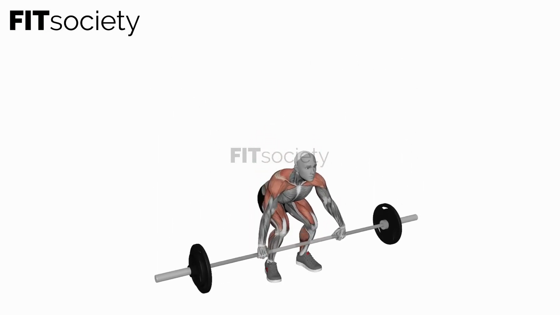 Barbell Power Snatch