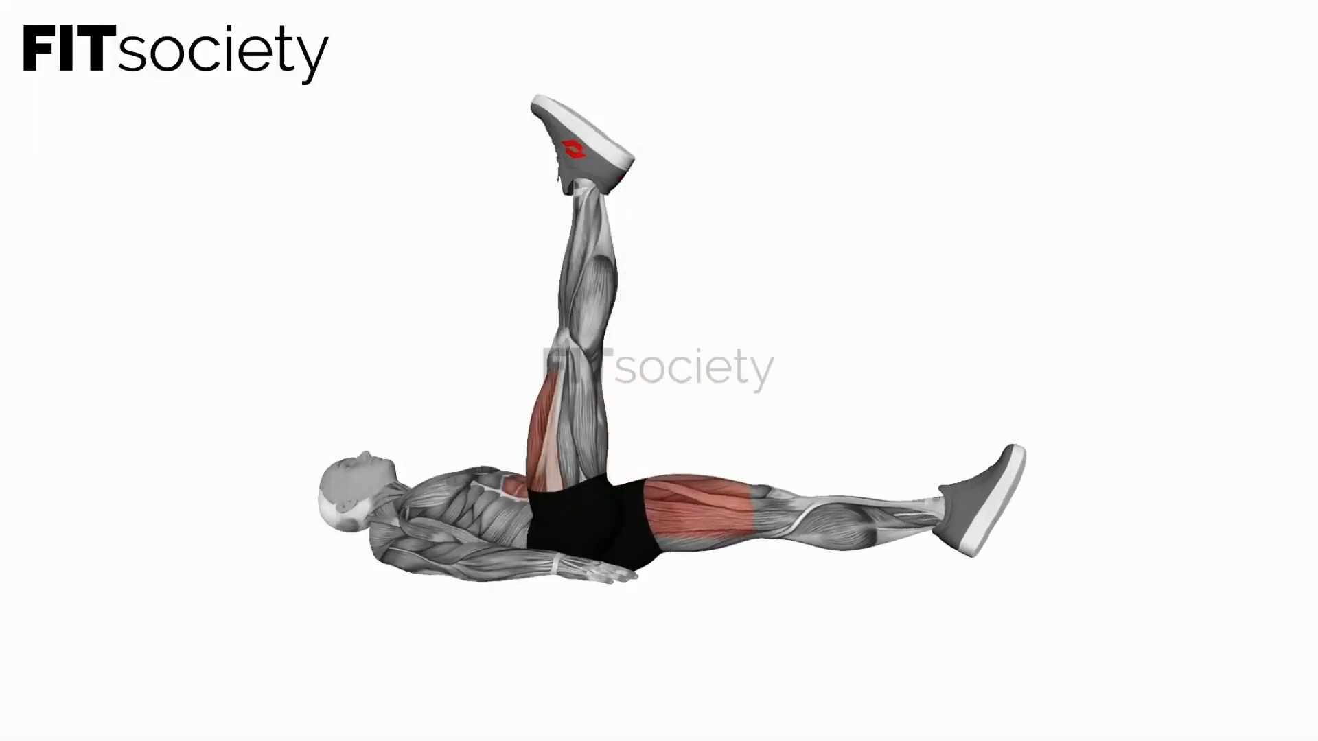 Alternate Leg Raise