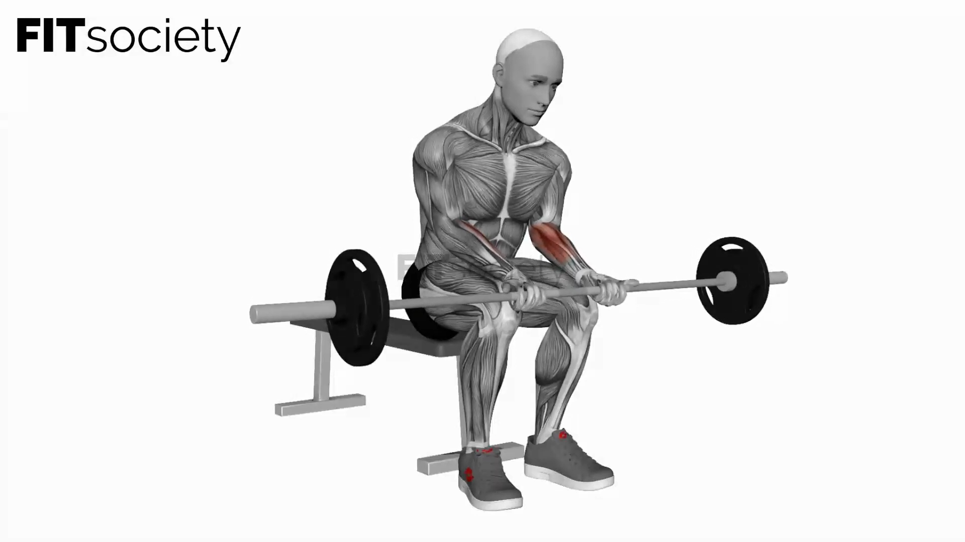 Barbell Wrist Curl On Knees