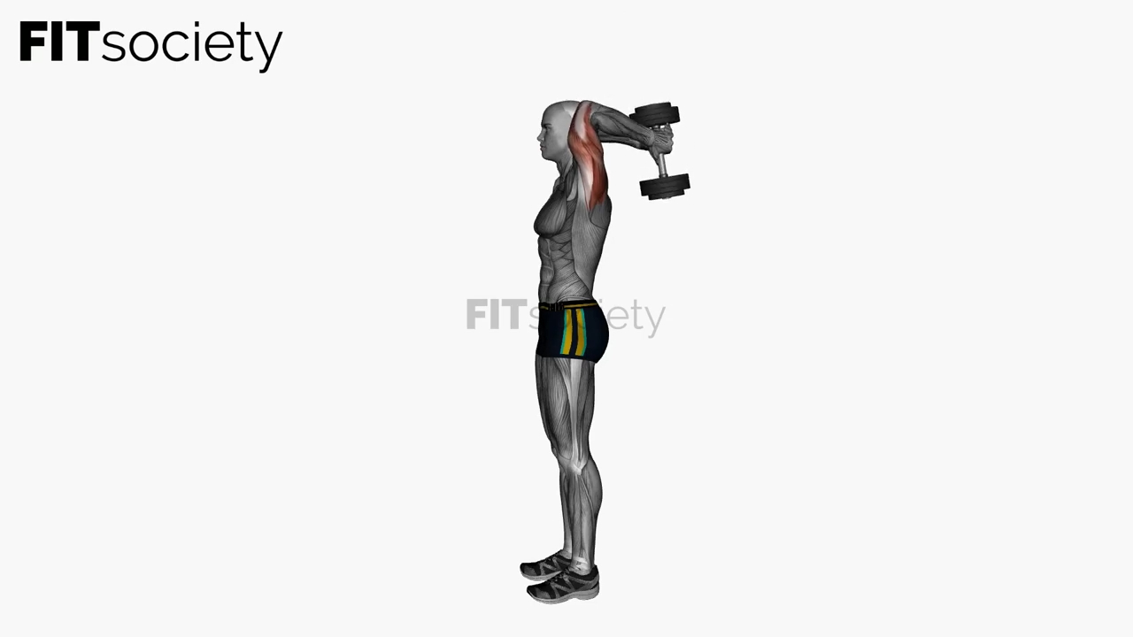 Extension des triceps au-dessus de la tête avec haltère debout