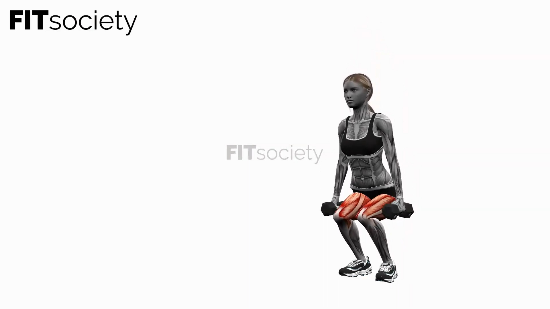 Dumbbell Narrow Stance Squats